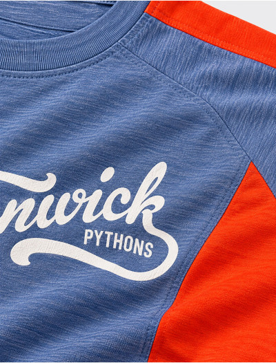 تیشرت ورزشی مردانه رگلان با پنل نارنجی و چاپ Fenwick Pythons روی سینه