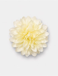 گیره مو دخترانه طرح گل داوودی