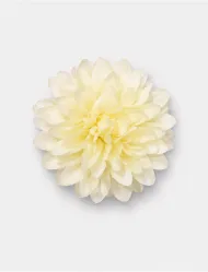 گیره مو دخترانه طرح گل داوودی