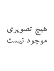 گوشواره زنانه 304